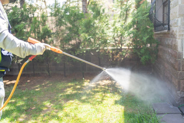 Best Fumigation Services  in Harlan, IN